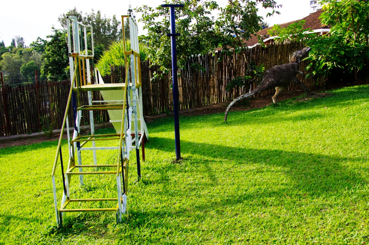 Spa Elpis grounds